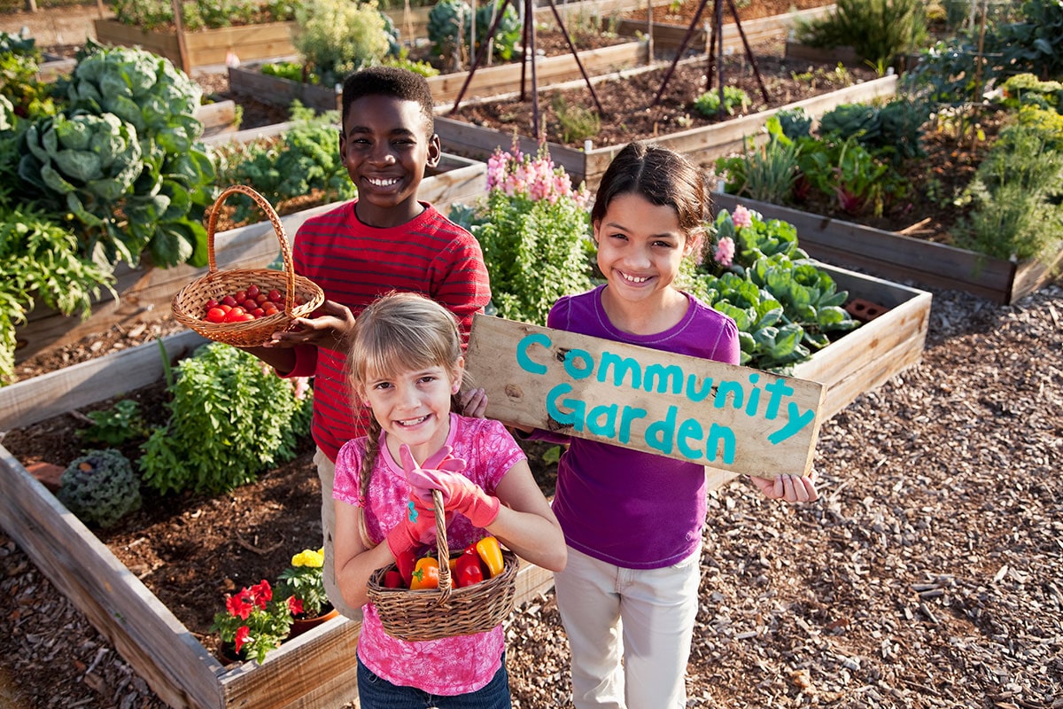 A Group of Three Multi-Ethnic Children Standing in Front of Planters of Growing Vegetables